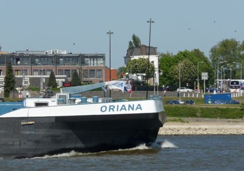 Oriana Concordia Damen